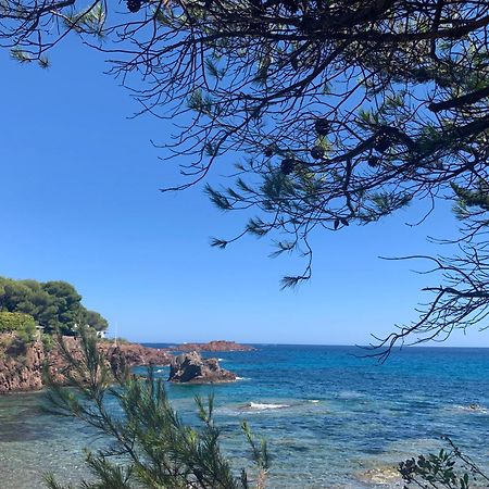 Studio Climatise Avec Piscine Saint-Raphaël 外观 照片