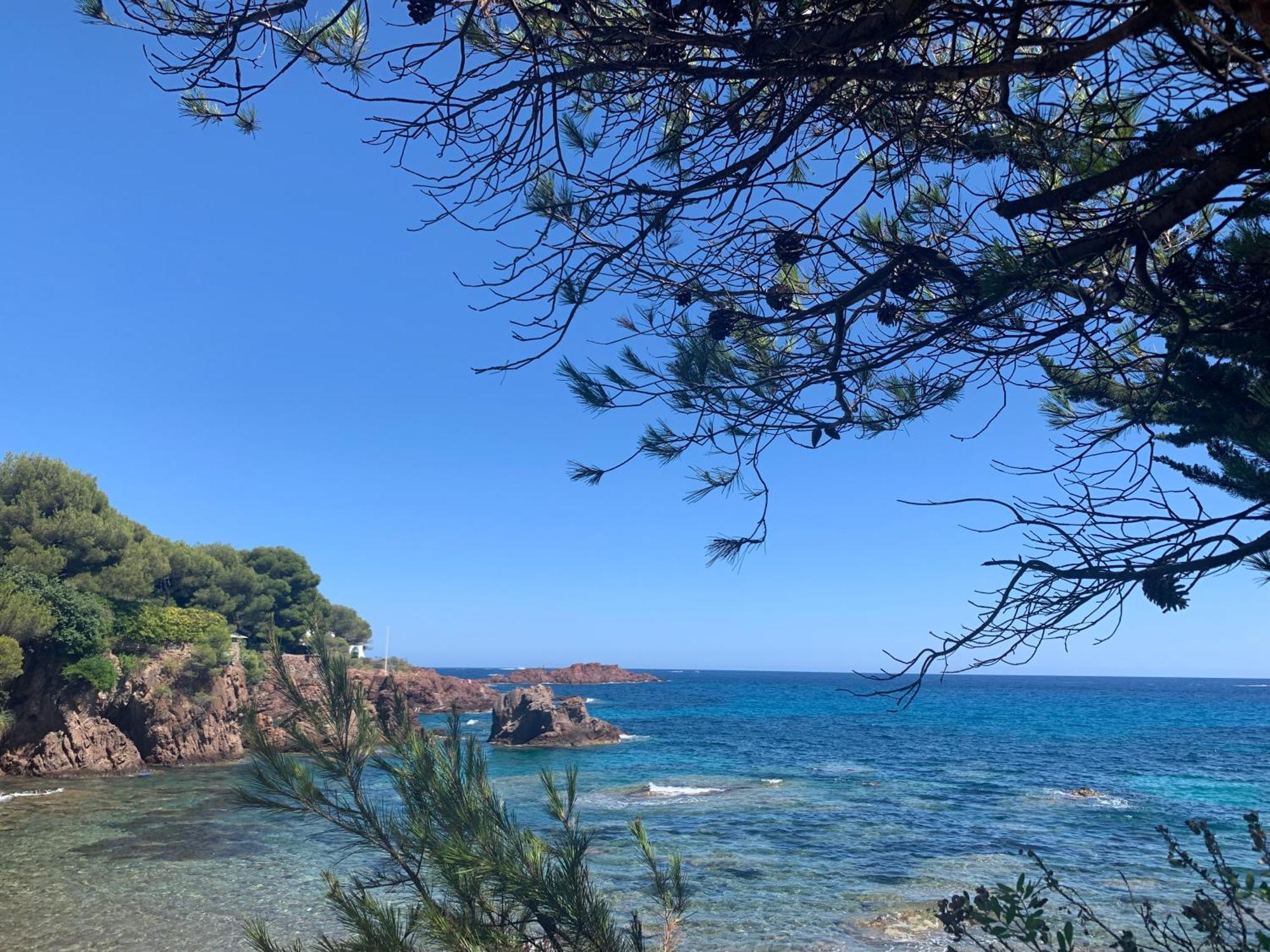 Studio Climatise Avec Piscine Saint-Raphaël 外观 照片